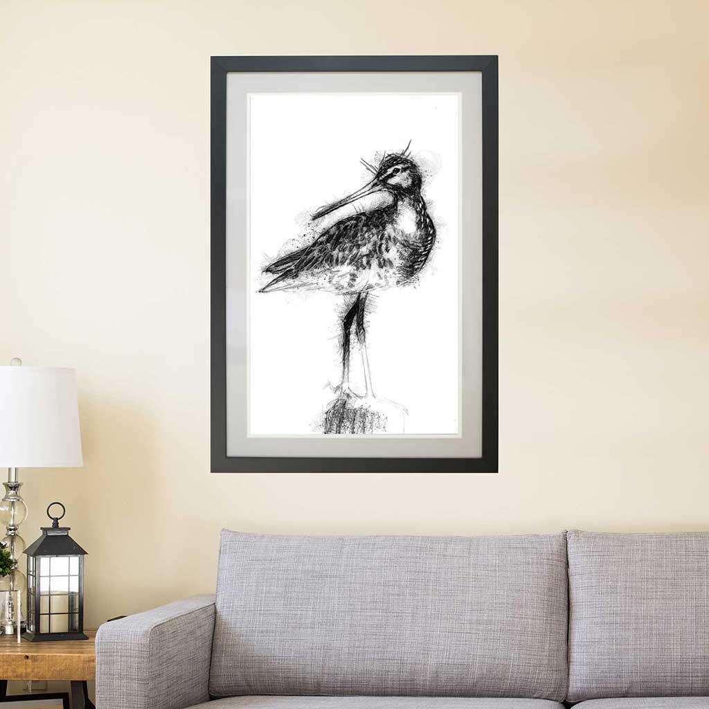 Godwit