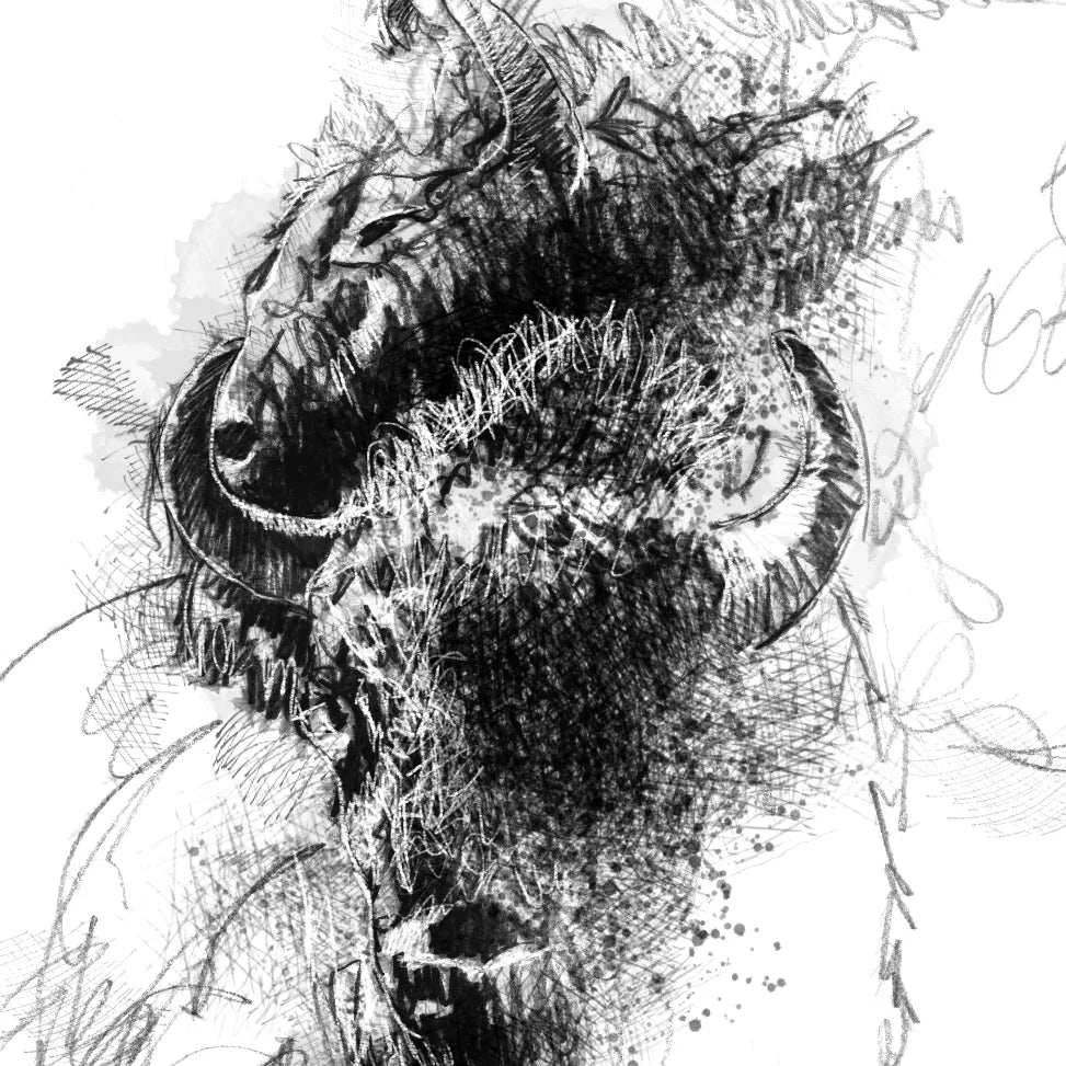 Bisons - BW Sketch