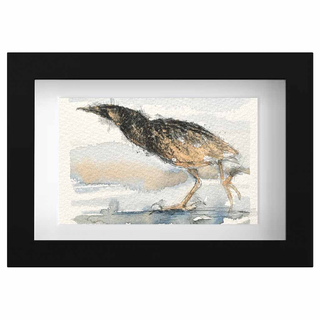 Bittern original mini sketch