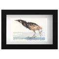 Bittern original mini sketch