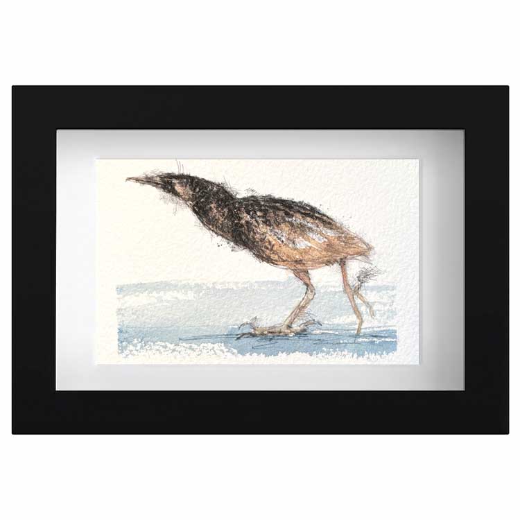 Bittern original mini sketch
