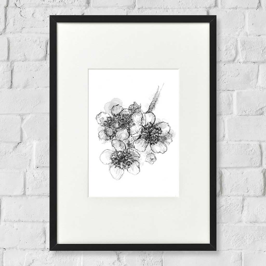 Blackberry flowers