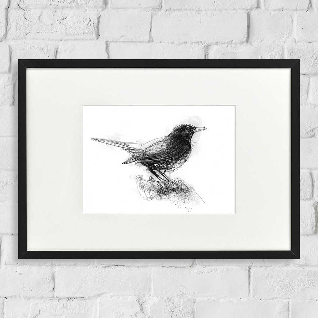 Blackbird