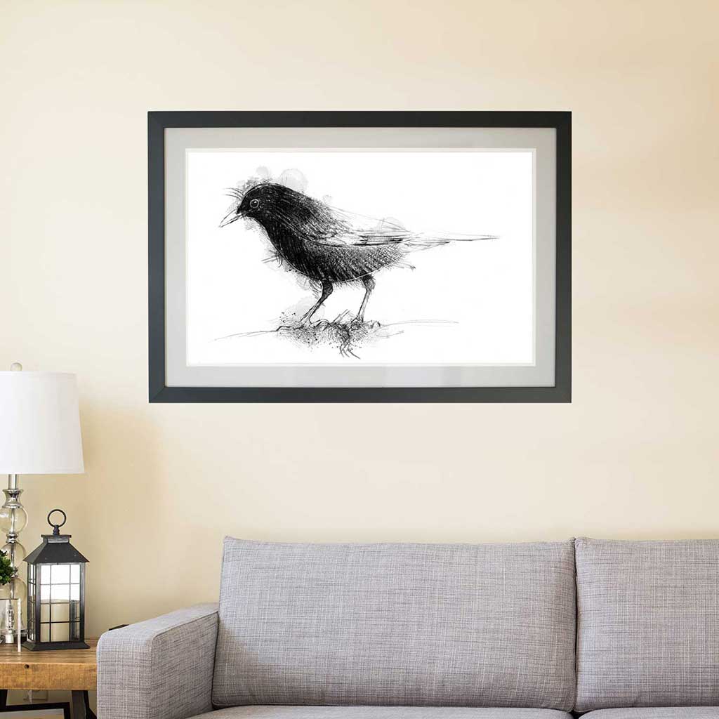 Blackbird song