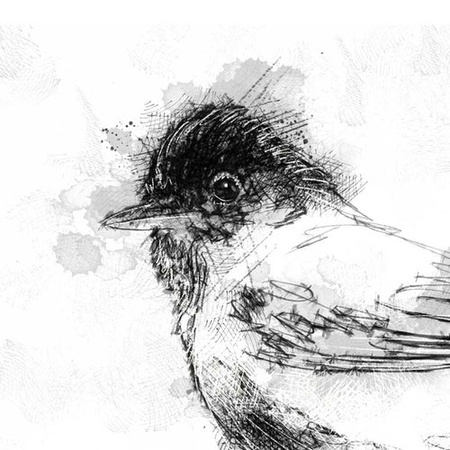 Black cap