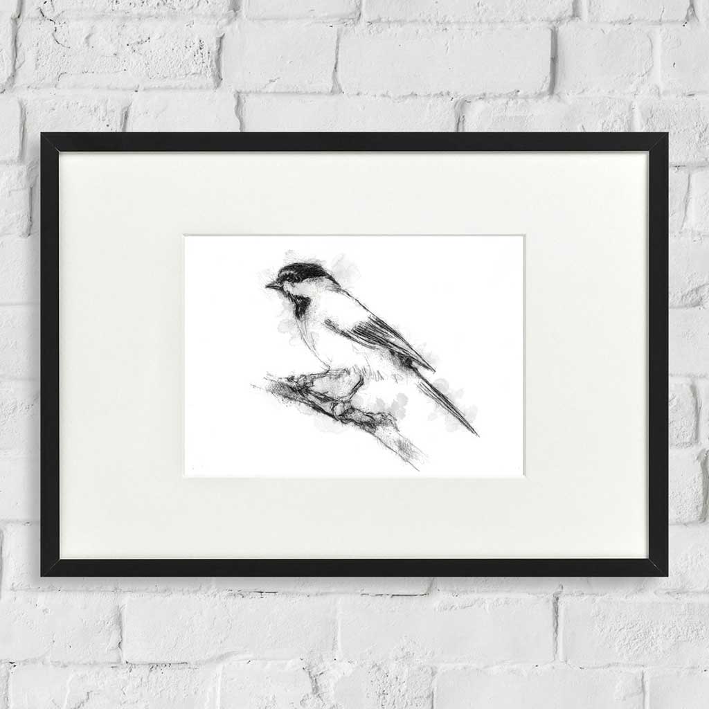 Blackcap bird