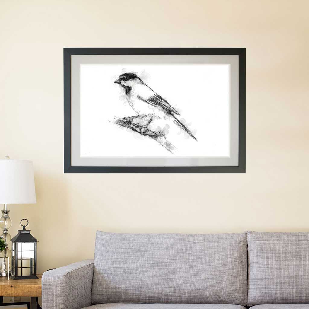 Blackcap bird