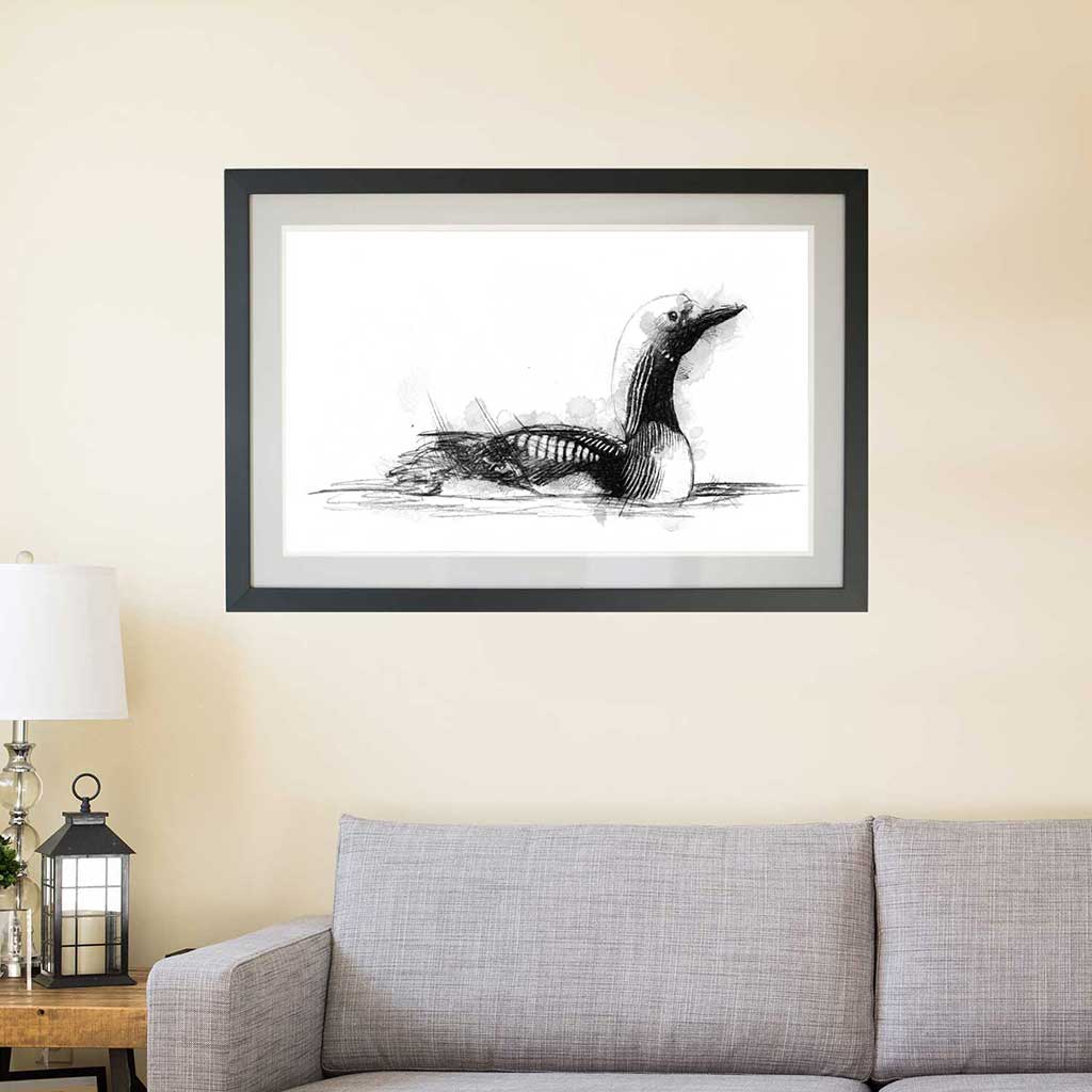 Black throated diver