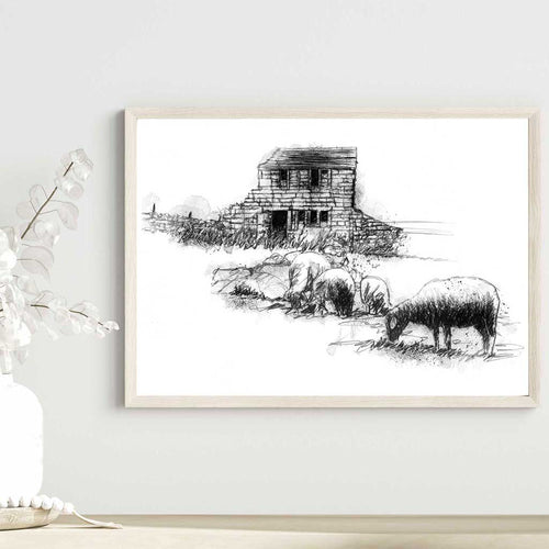 Blake dean sheep