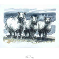 Blue faced sheep watercolour