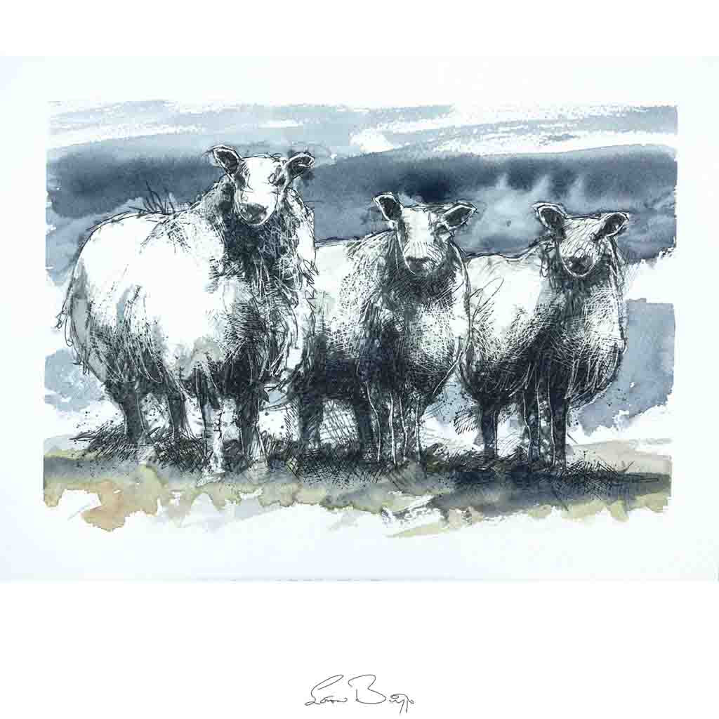 Blue faced sheep watercolour