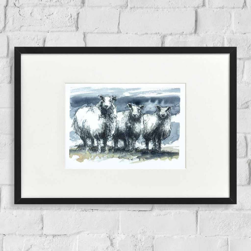Blue faced sheep watercolour