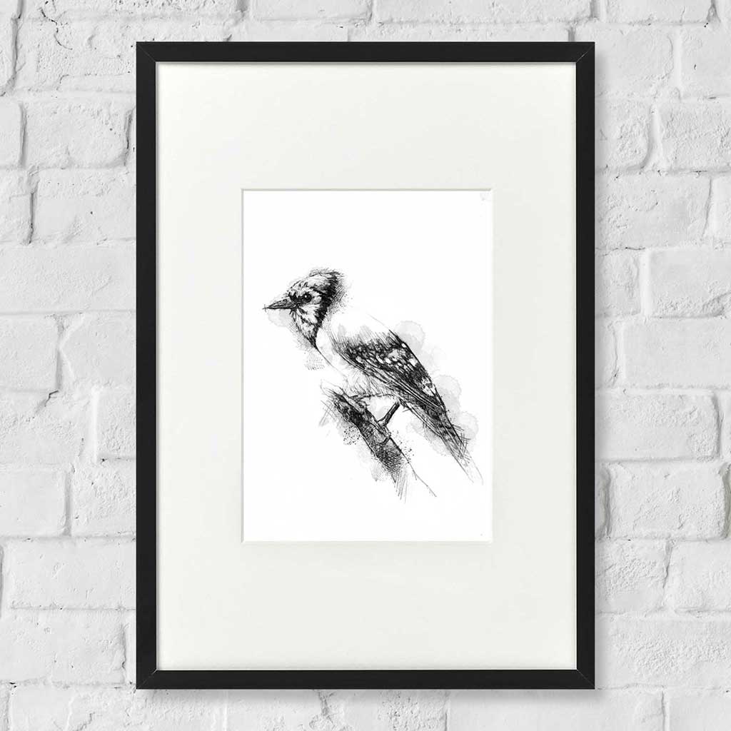 Blue jay