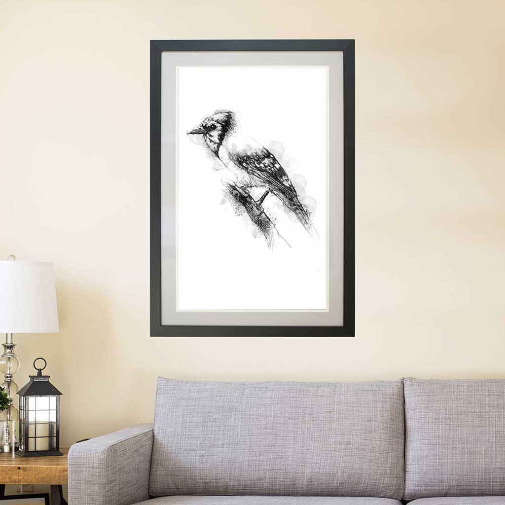 Blue jay
