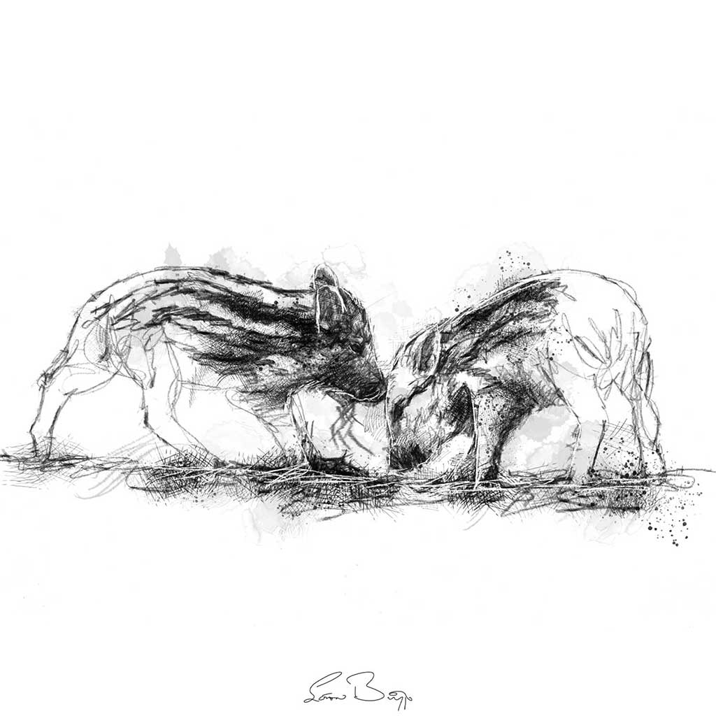 Wild boar piglets