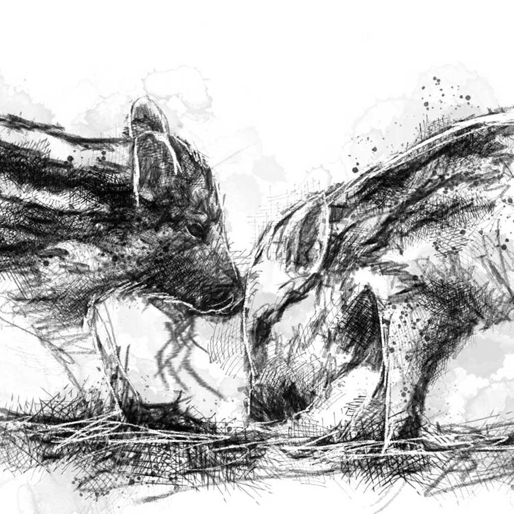 Wild boar piglets