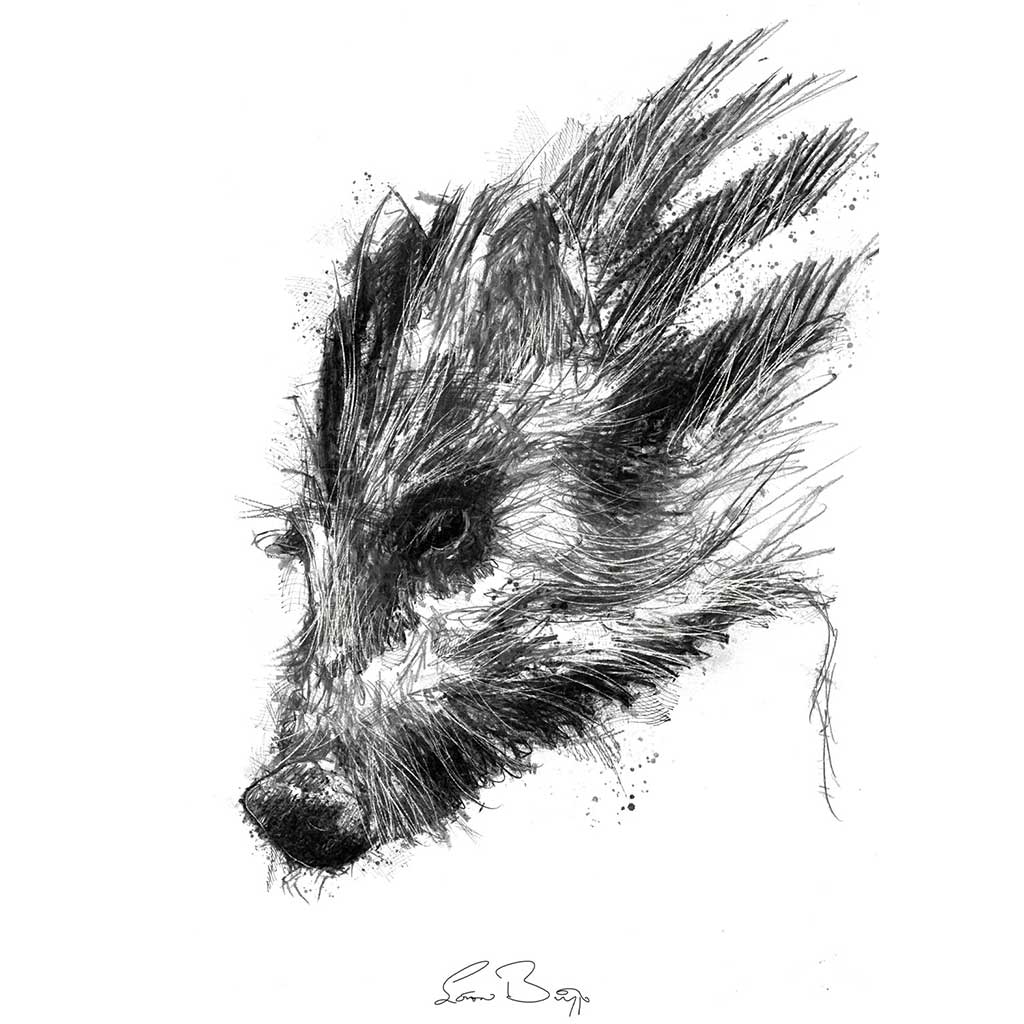 Wild boar piglet