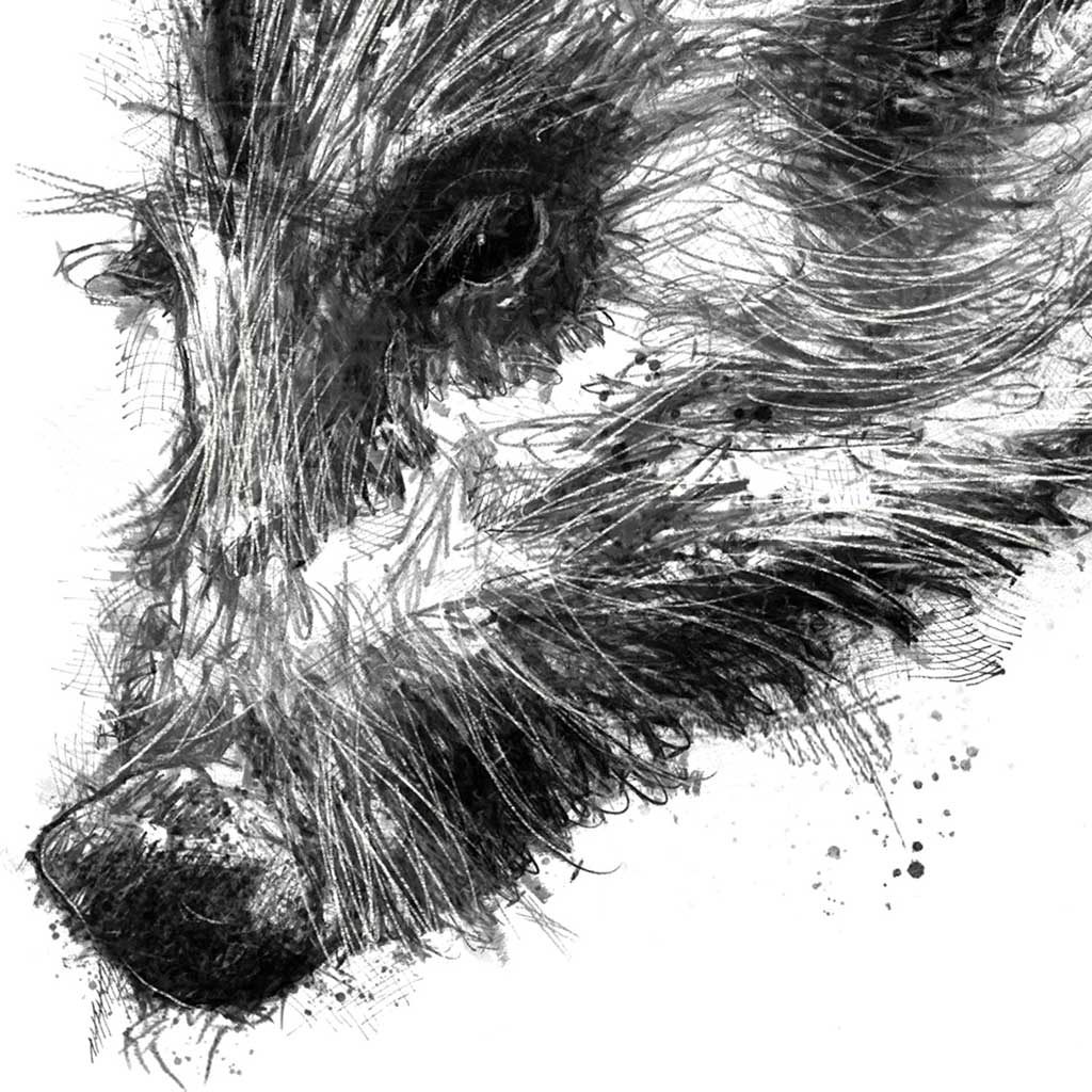 Wild boar piglet