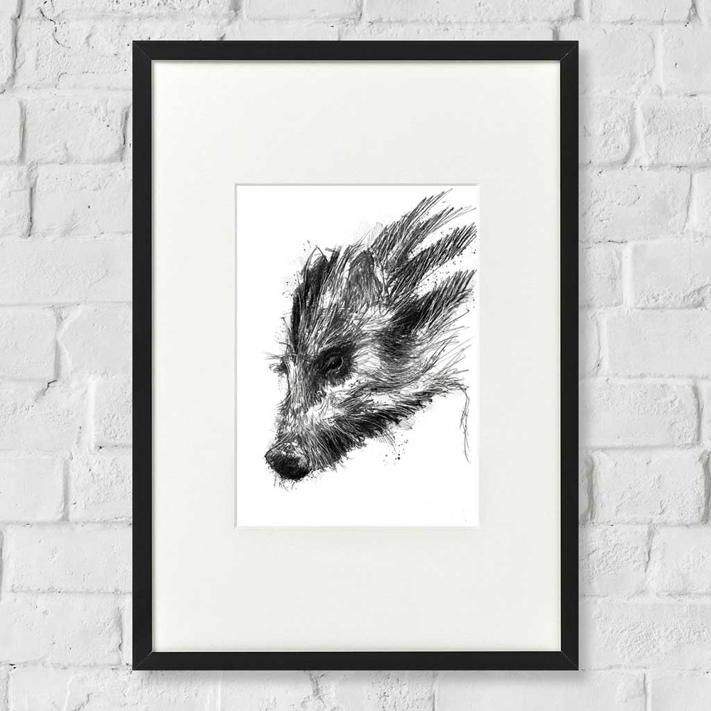 Wild boar piglet
