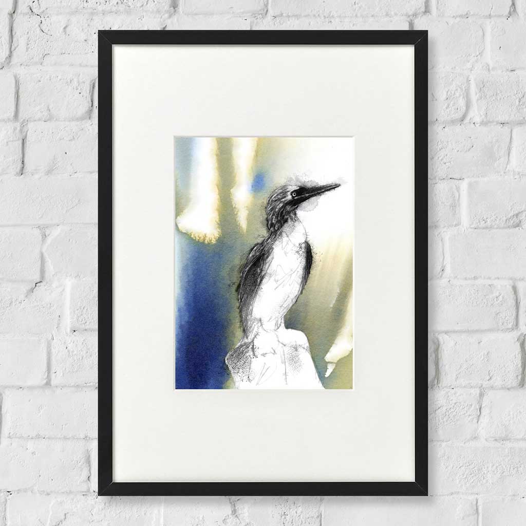 Blue footed booby