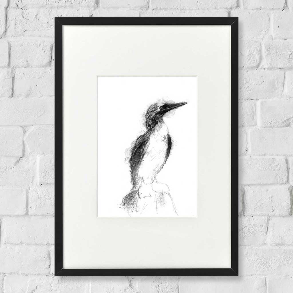 Blue footed booby