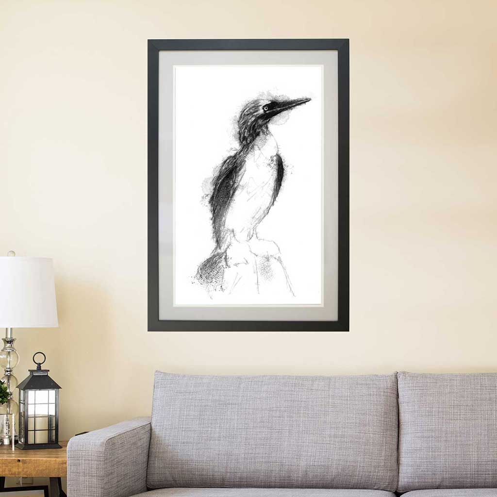 Blue footed booby