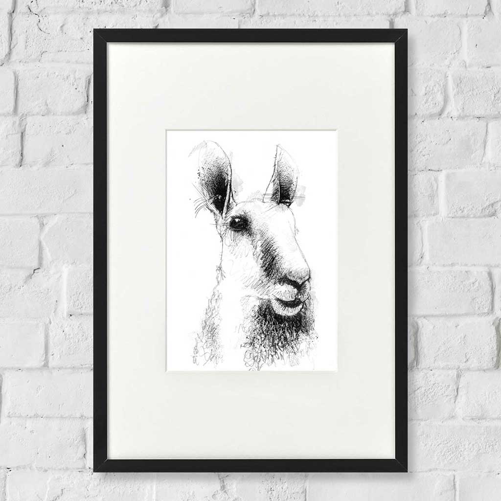 Border Leicester Sheep