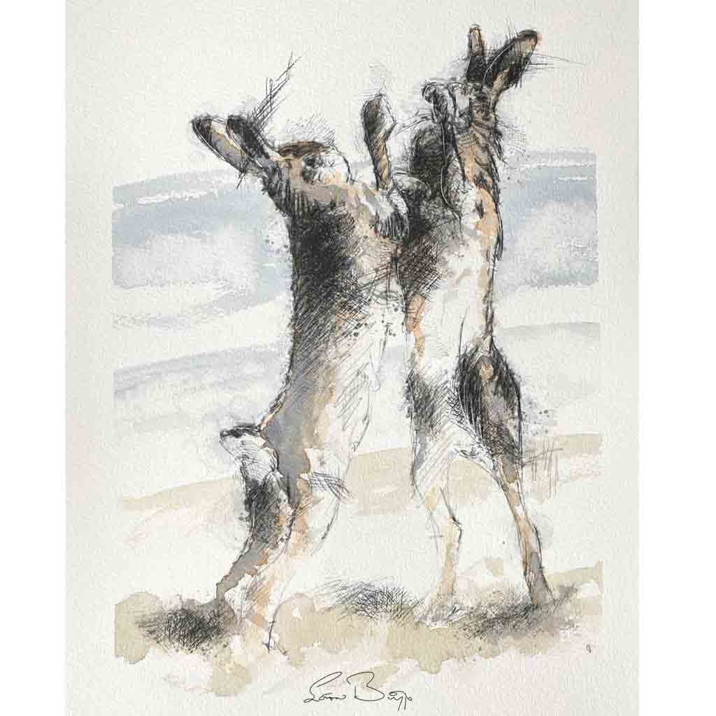 Boxing hares sketch