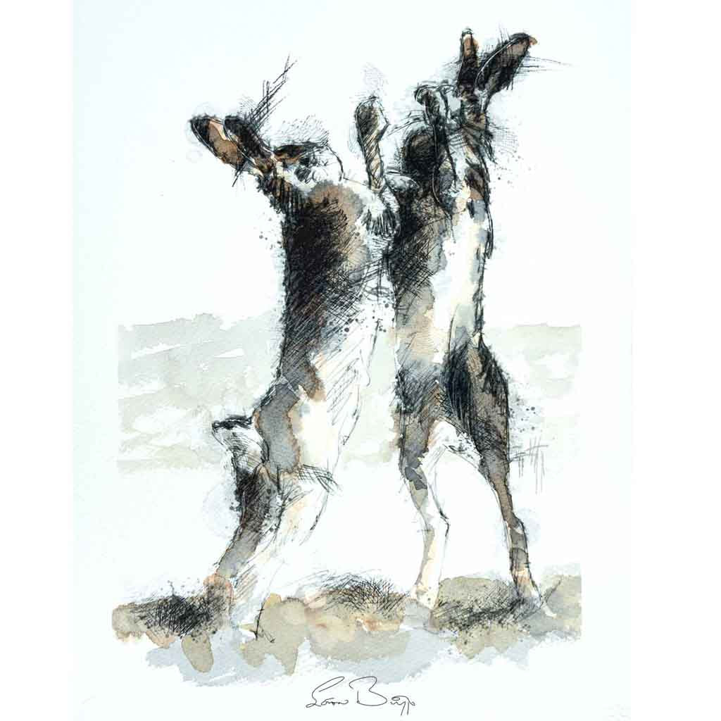 Hares boxing watercolour