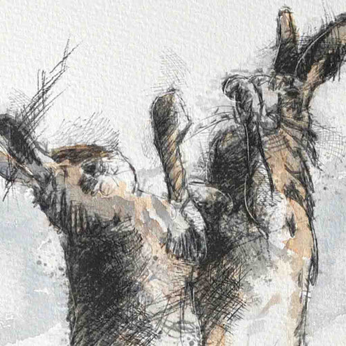 Boxing hares sketch