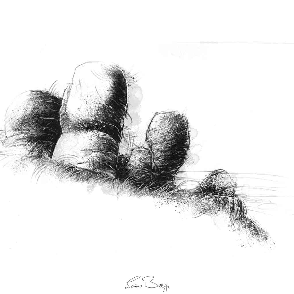 Bride stones Yorkshire