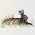 Hare resting original mini sketch