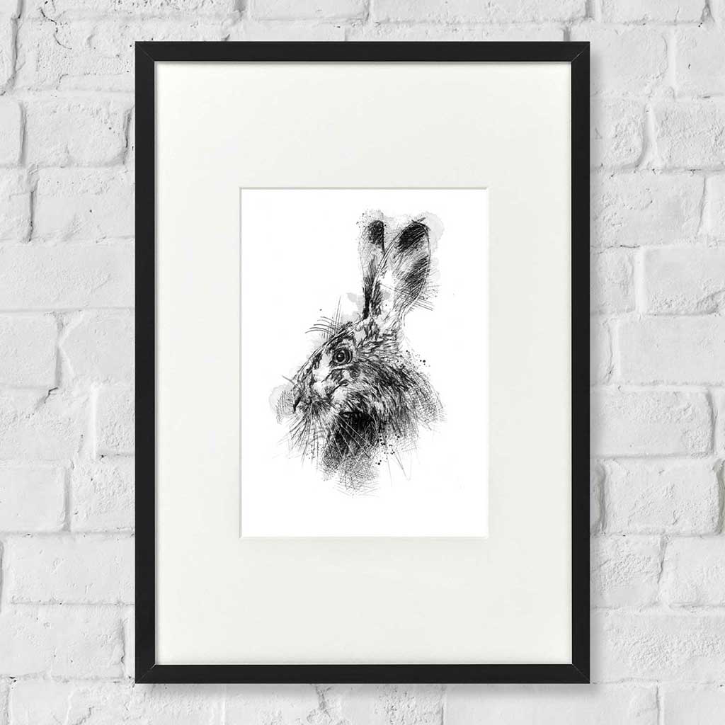 Brown hare