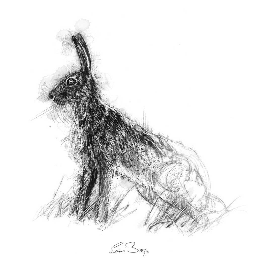 Brown hare pose