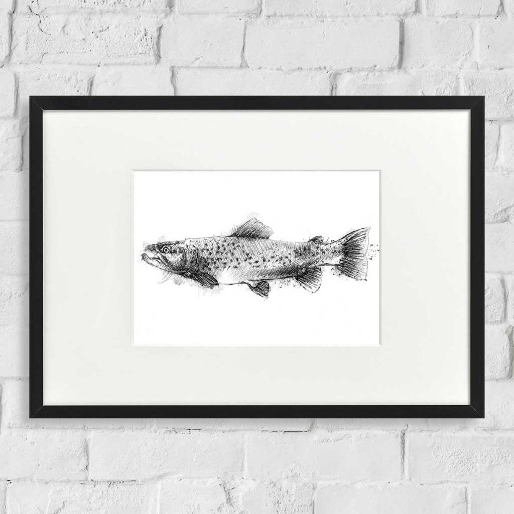 Brown trout