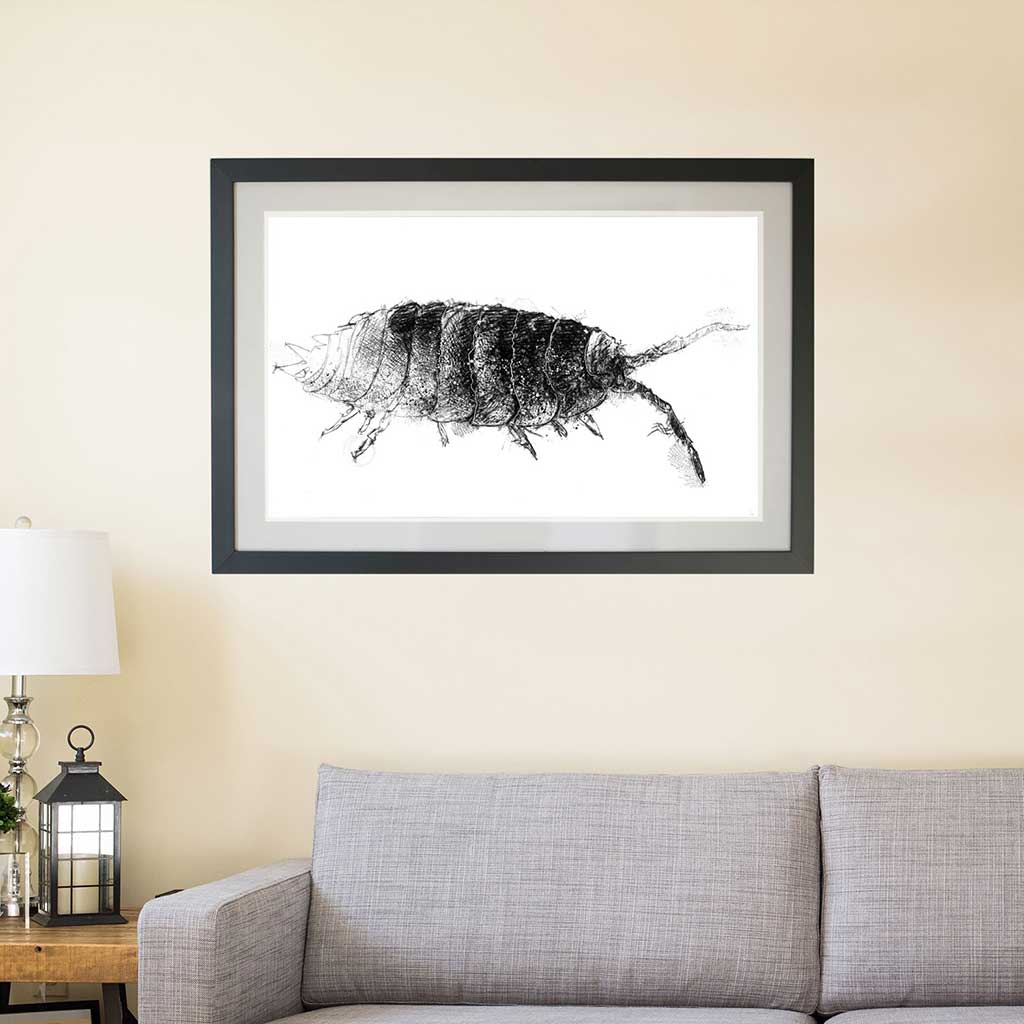 Woodlouse
