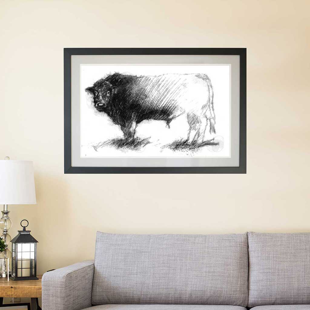 Hereford bull