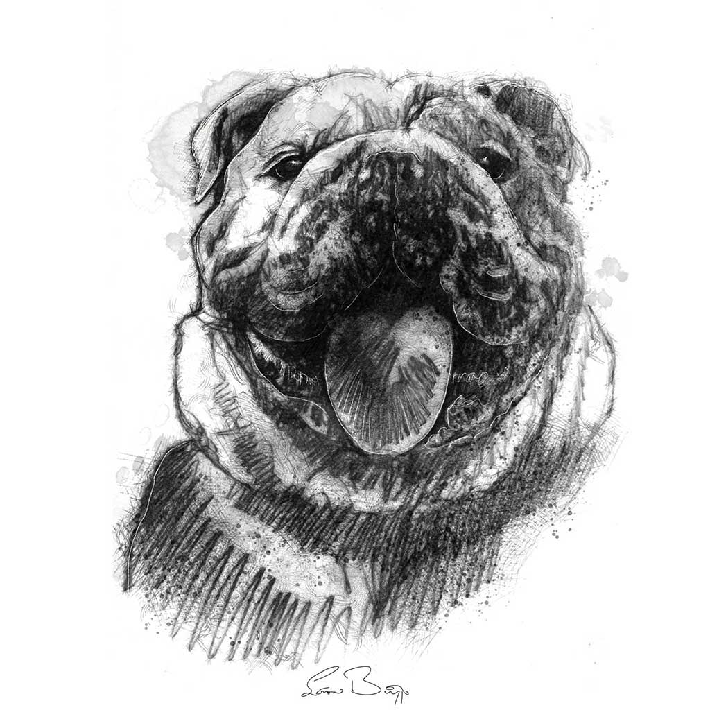 Bulldog