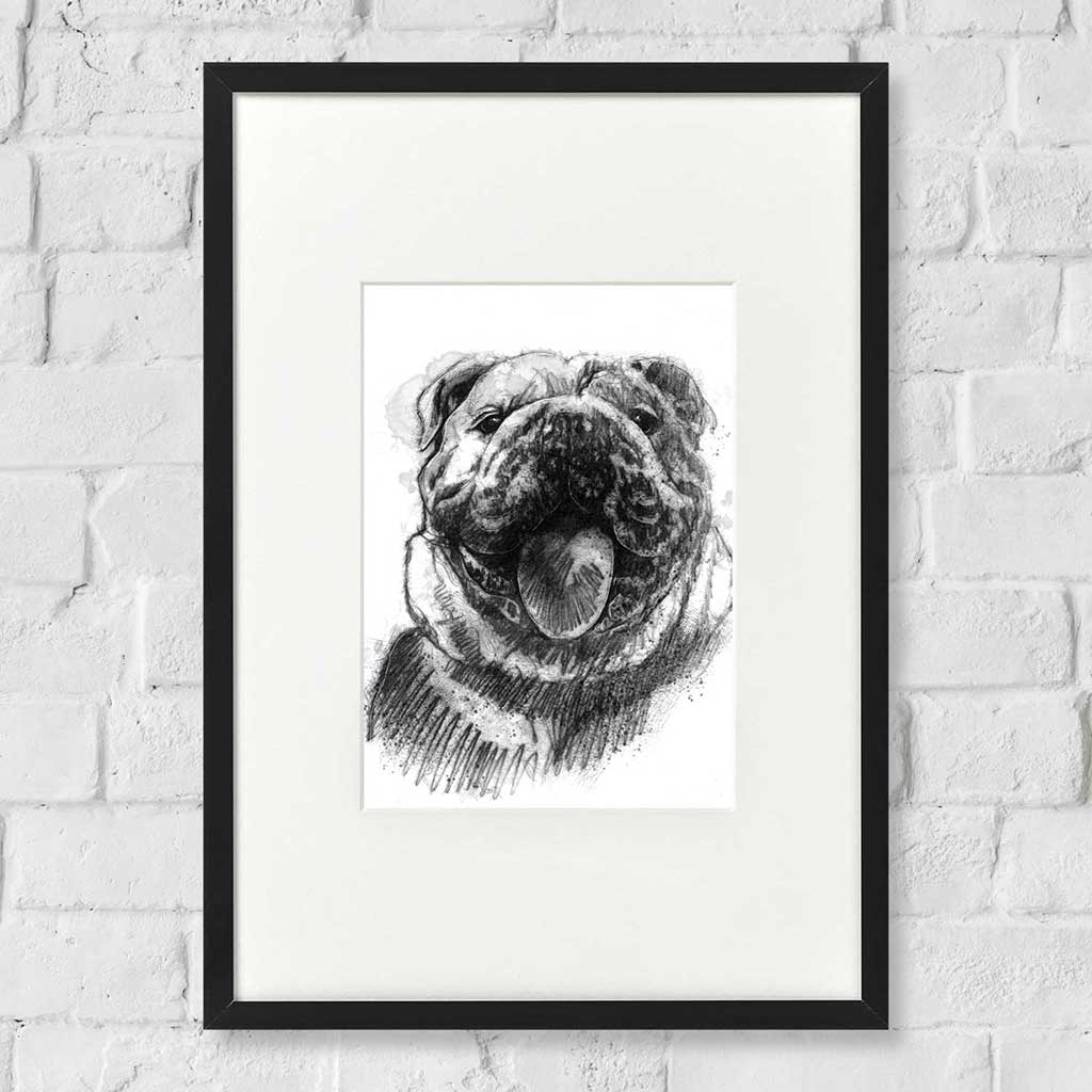 Bulldog