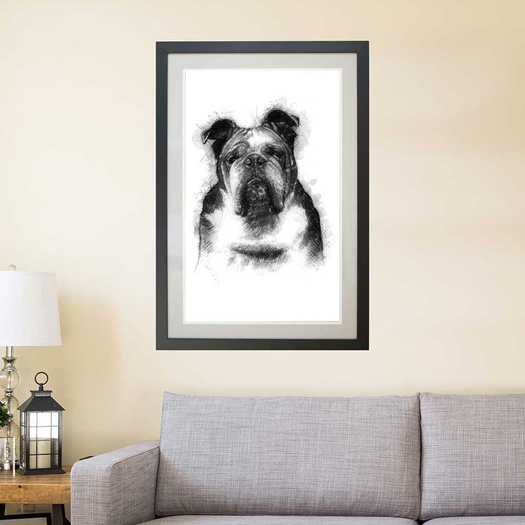 English bulldog