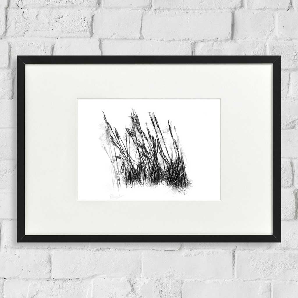 Bullrushes