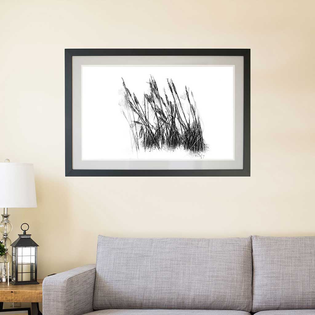 Bullrushes