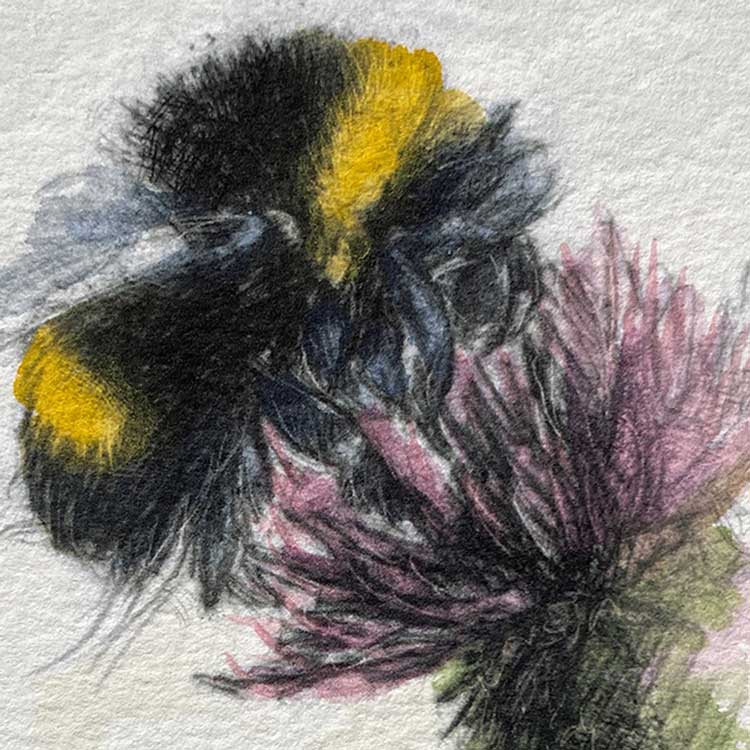 Bumble bee mini sketch