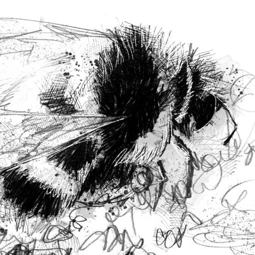 Bumble bee