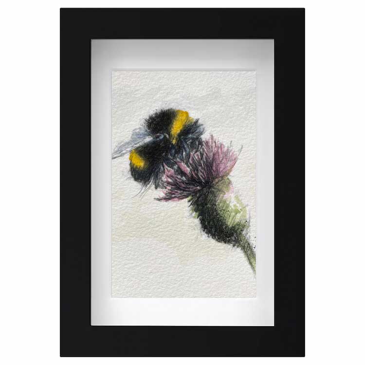 Bumble bee mini sketch