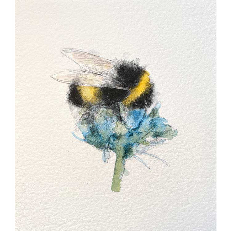 Bumble bee original mini sketch
