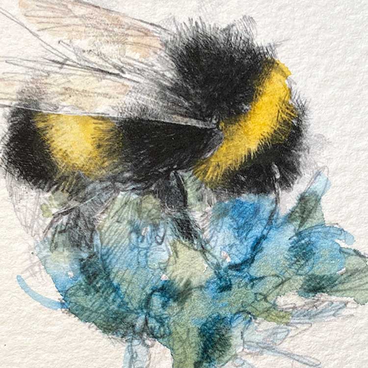 Bumble bee original mini sketch