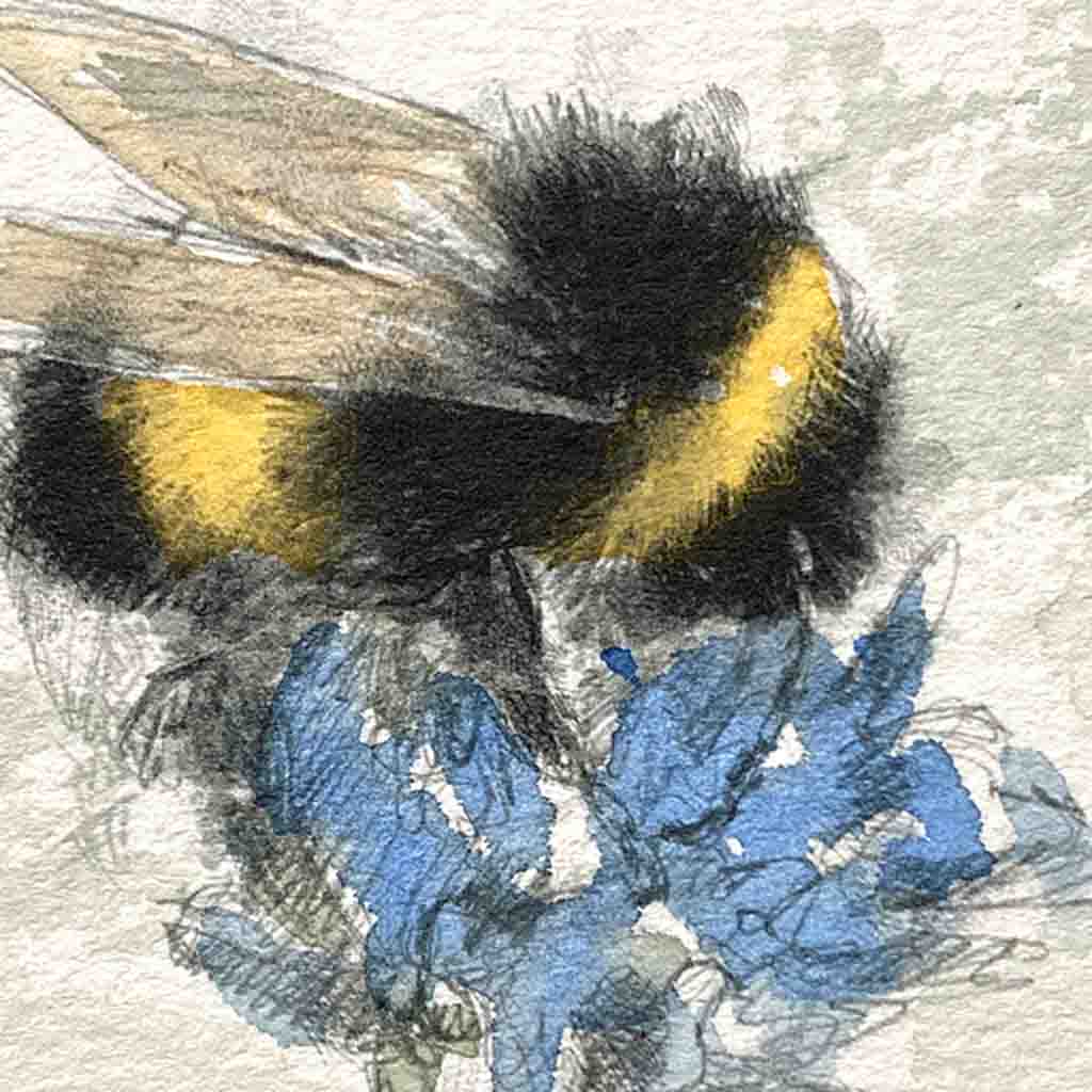 Bumble bee original mini sketch