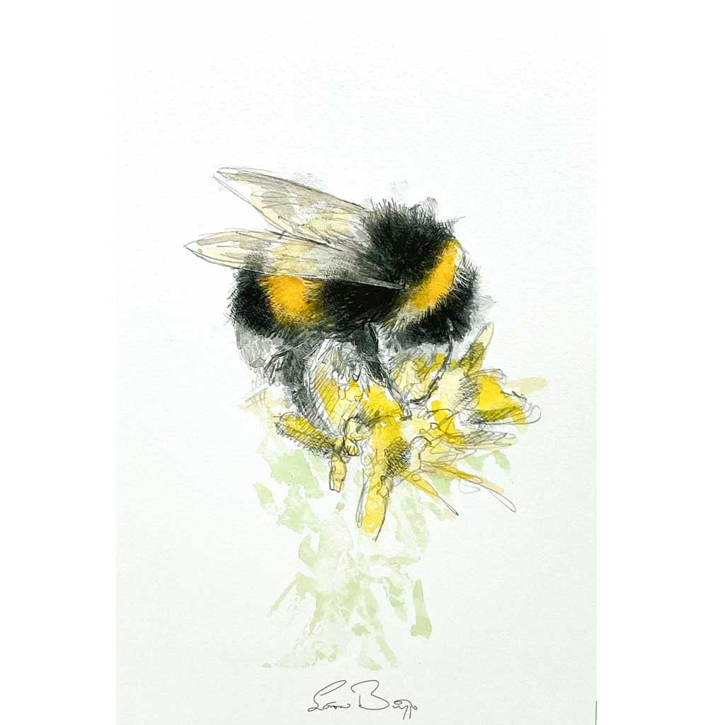 Bumble bee sketch