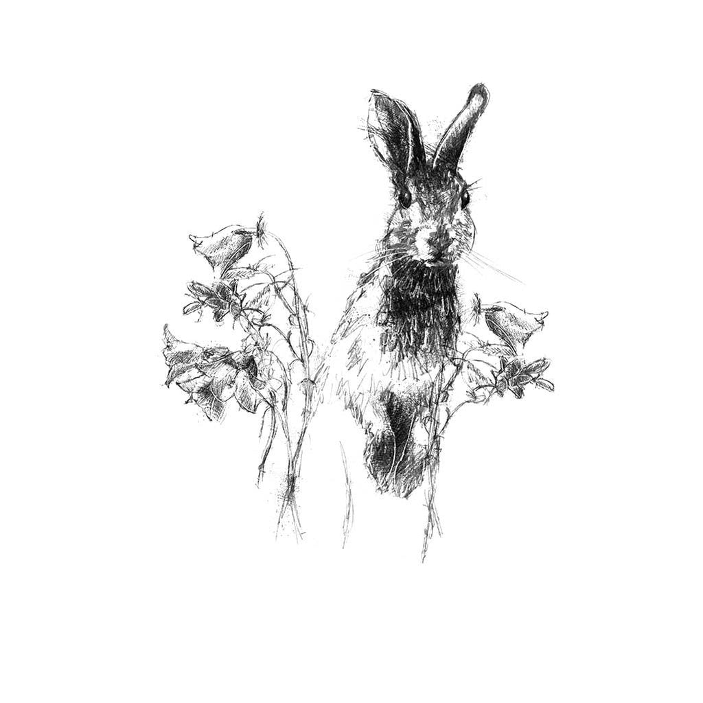 Rabbit in harebells
